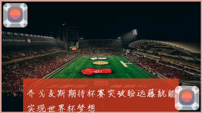 乔戈麦斯期待杯赛突破盼远藤航能实现世界杯梦想
