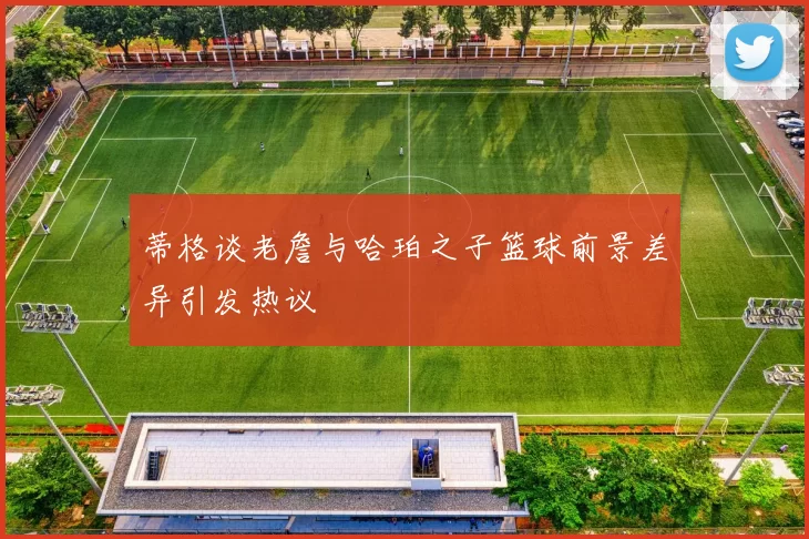 蒂格谈老詹与哈珀之子篮球前景差异引发热议